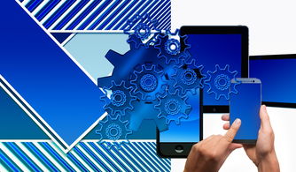 中国篮球联赛品牌建设及粉丝经济研究，国内篮球职业联赛